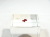 AST/MAPLE LEAF  I-KEY