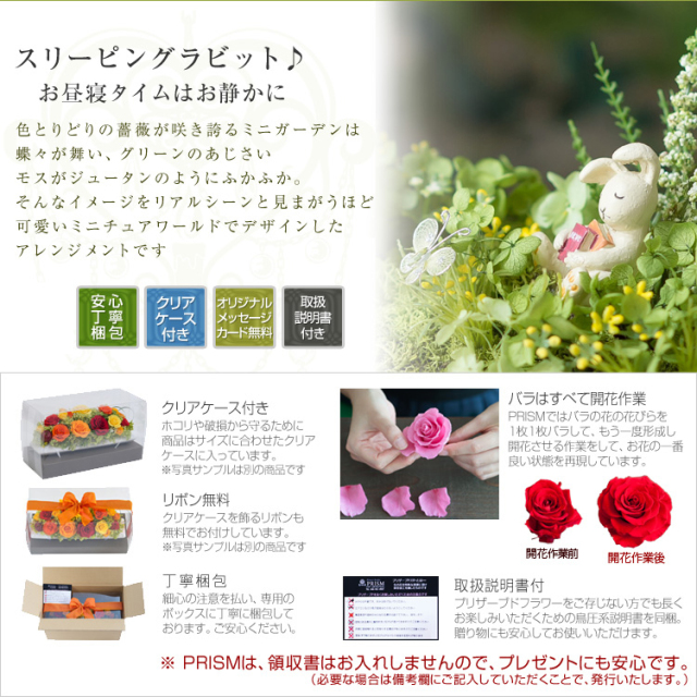スリーピングラビット♪