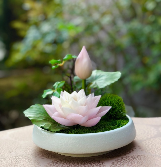 蓮華