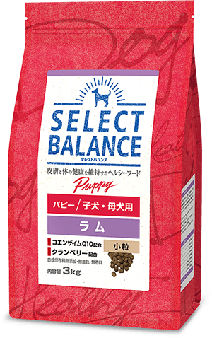 セレクトバランス パピー ラム 小粒 子犬・母犬用 3kg
