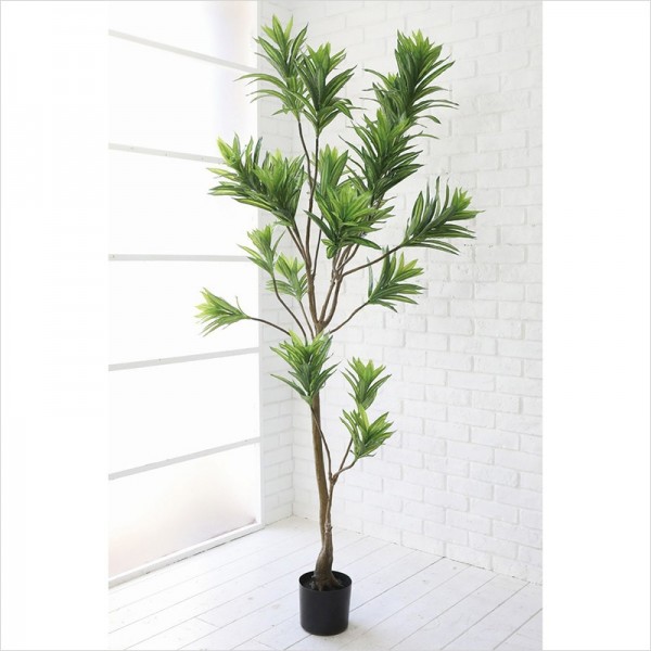 ドラセナ ソングオブインディア 造花 大きい ラージ 人工観葉植物 人工植物 店舗什器 大型植物 店舗装飾 フレンチカントリー シ