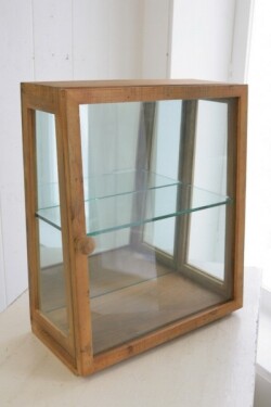 ガラスケース コレクションケース ラスティ プチショーケース ショーケース ガラスショーケース キュリオ コレクション棚 ガラス