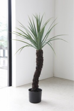 ユッカ ロストルータ 造花 人工観葉植物 人工植物 玄関 店舗什器 植物 店舗装飾 フレンチカントリー シャビーシック