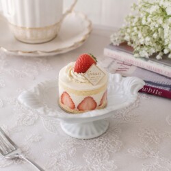 ケーキスタンド プチフールプレート 陶器 日本製 コンポート ミニプレート 台座プレート レリーフ (365) スウィーツトレー  ケー