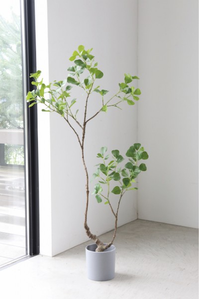 フィカス ウンベラータ 人工観葉植物 造花 人工植物 フェイク