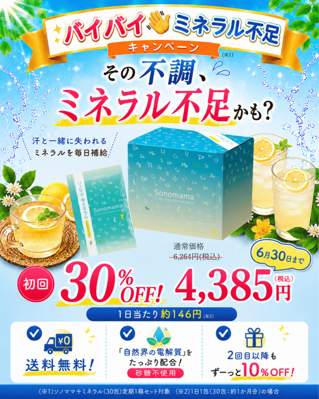 【キャンペーン特別価格】ソノママ＋ミネラル（30包）1箱コース 初回30%OFF！2回目以降、ずーっと10%OFF！送料無料