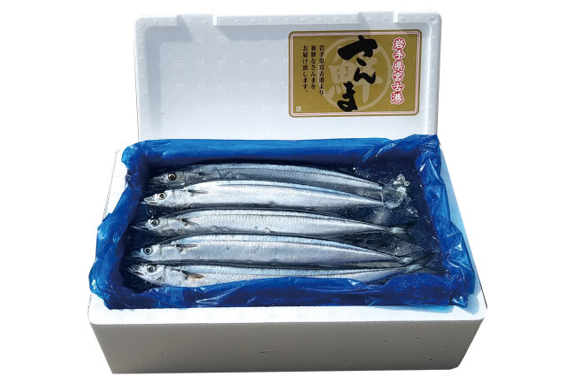 生サンマ箱入り