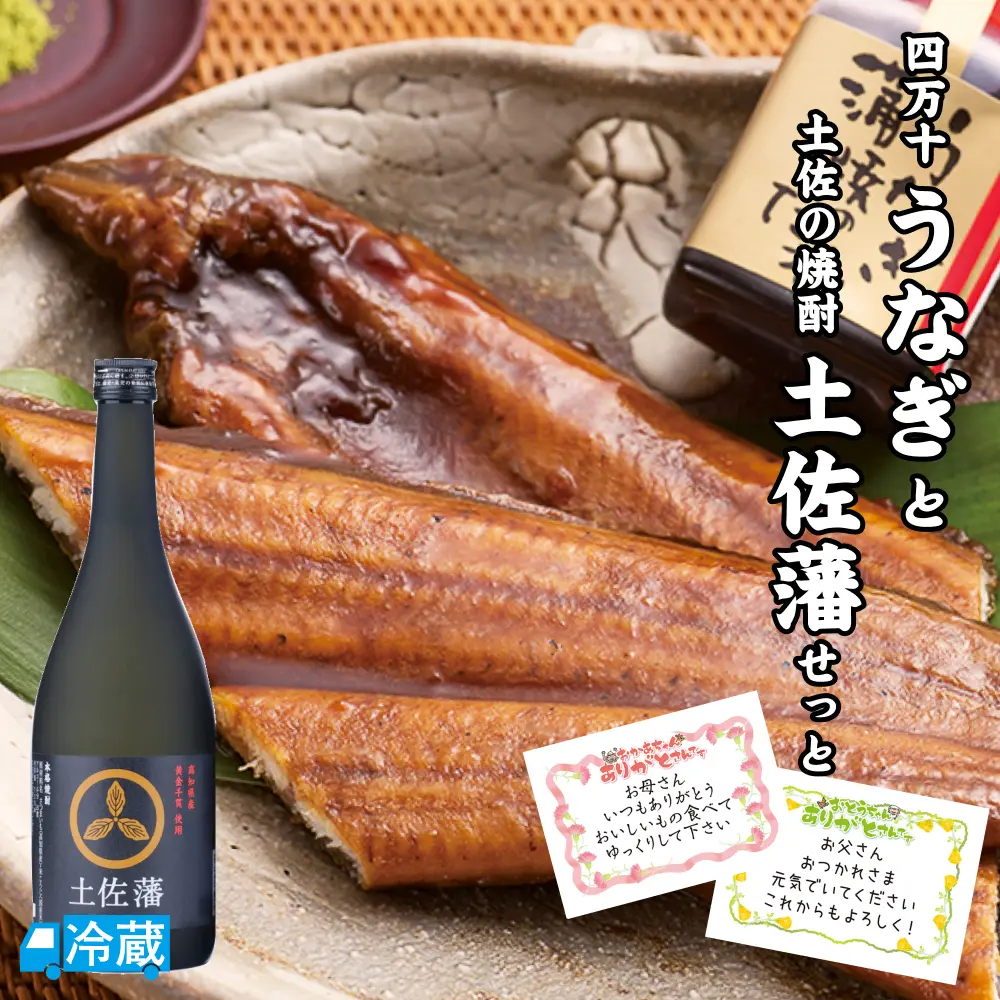 四万十うなぎと土佐の焼酎「土佐藩」せっと