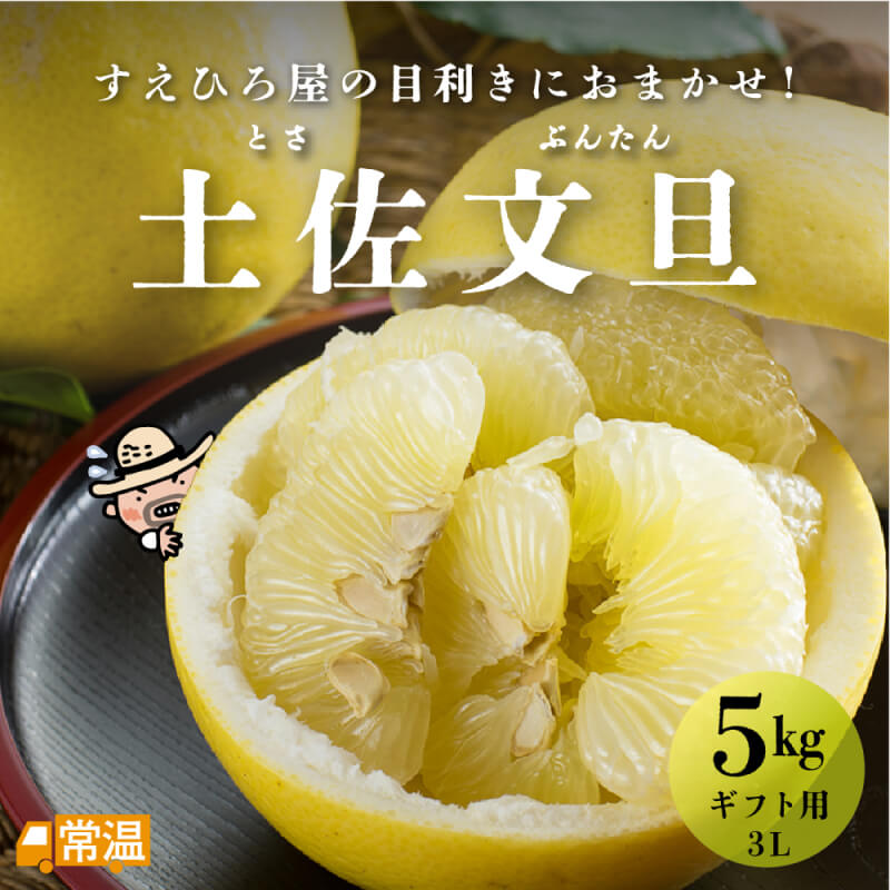 土佐文旦 ギフト用 3L 5kg