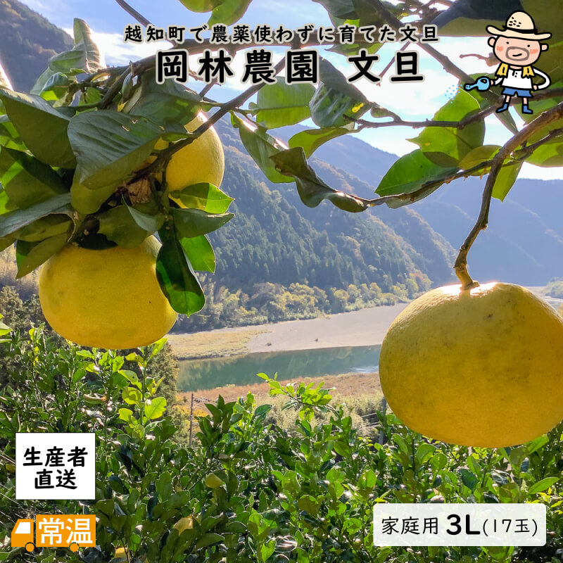 岡林家庭用文旦３L１７玉【送料無料】