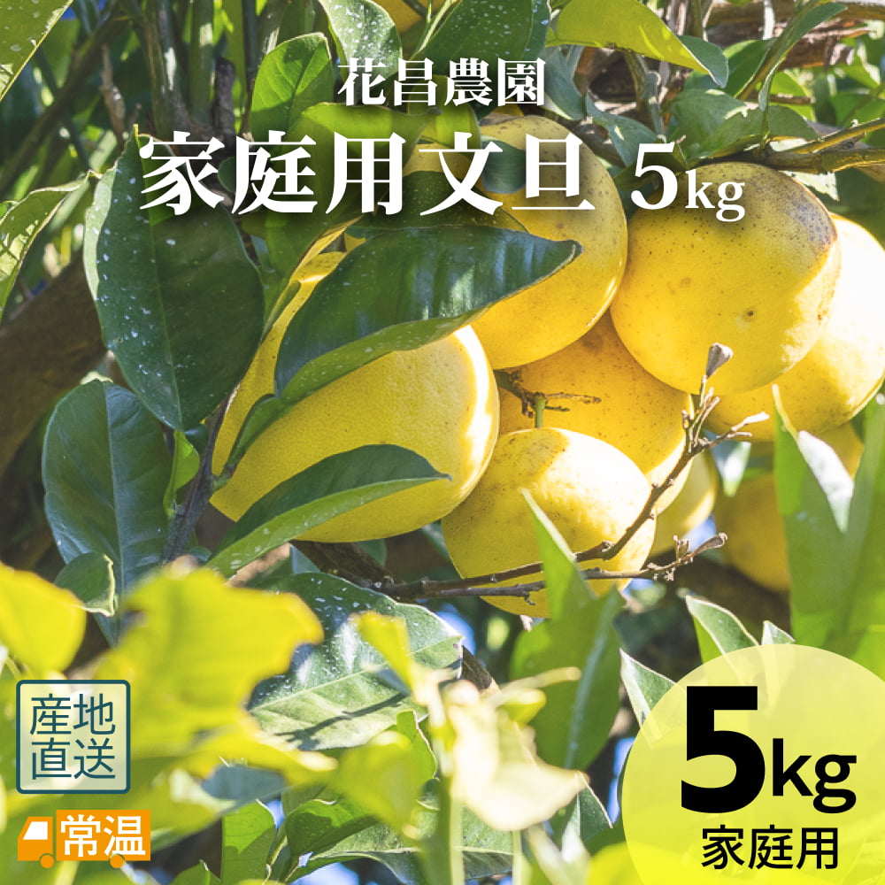 花昌農園　家庭用文旦　5?s