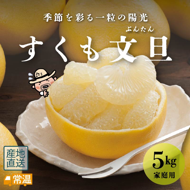 地元果物屋おすすめ文旦　専用出品です 地元果物屋おすすめ文旦 専用出品です