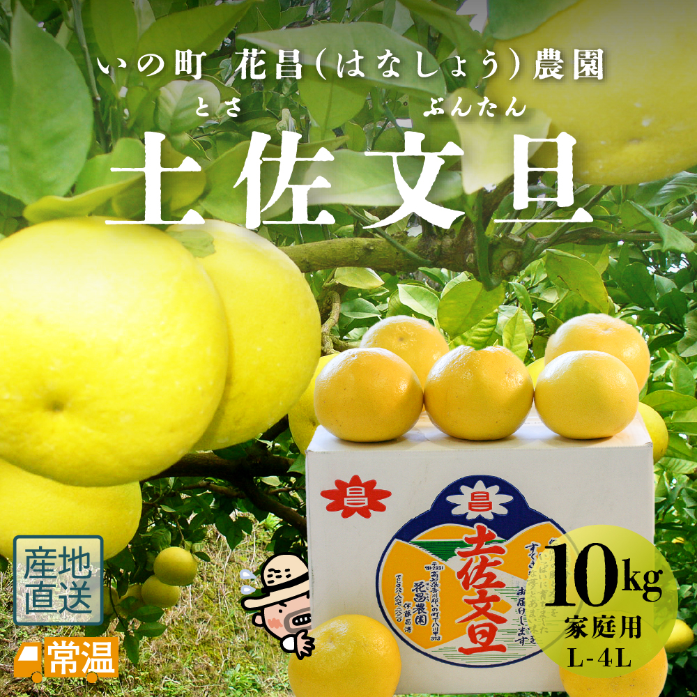花昌文旦 家庭用10kgL-4L