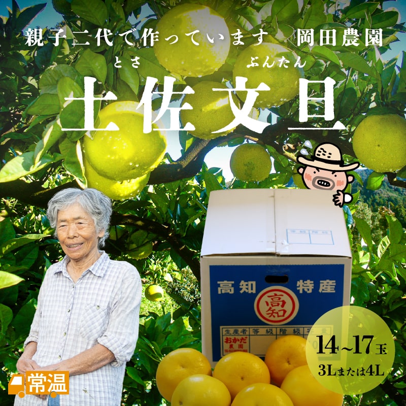 土佐文旦_岡田農園_3Lor4L_14～17玉