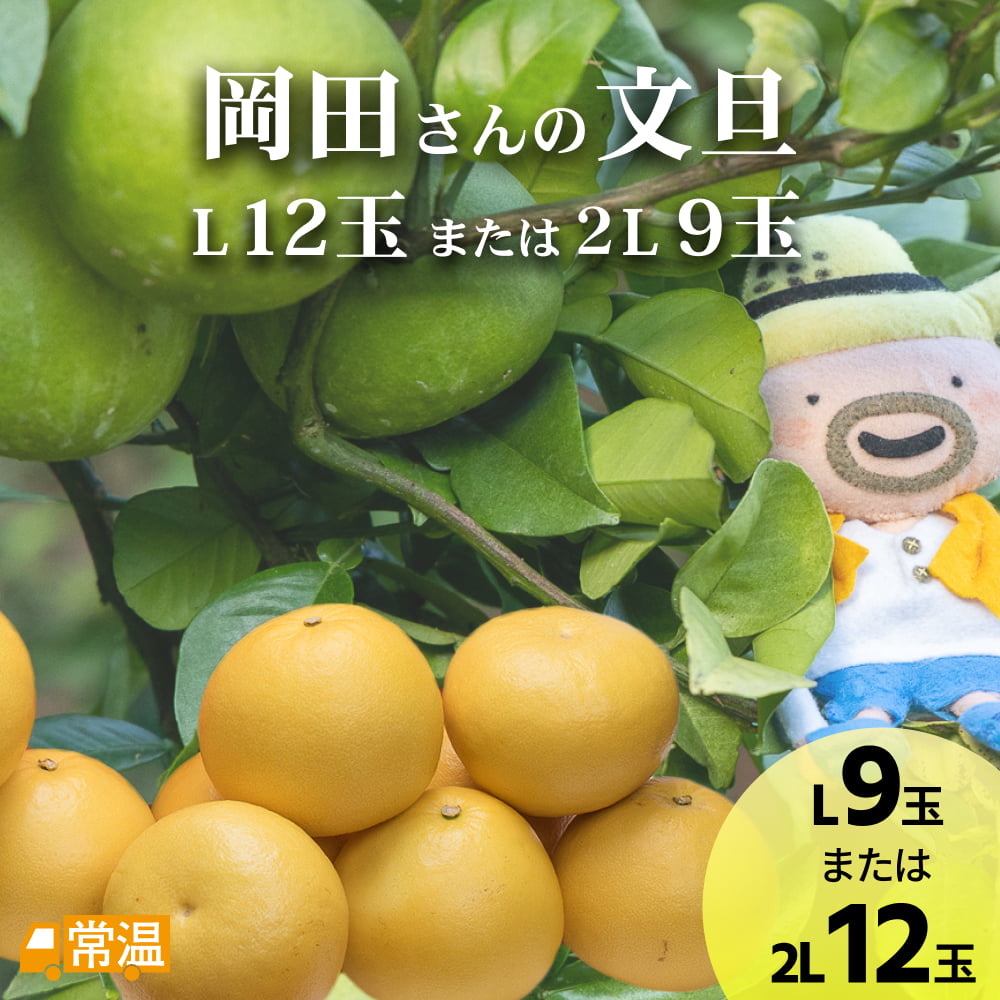 岡田さんの文旦　L12玉または2L9玉入
