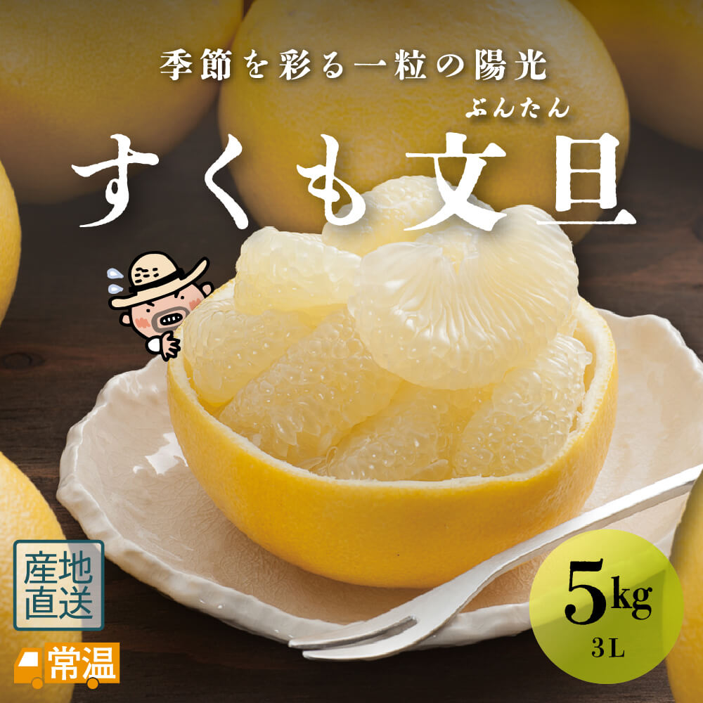 すくも文旦 3L 5kg