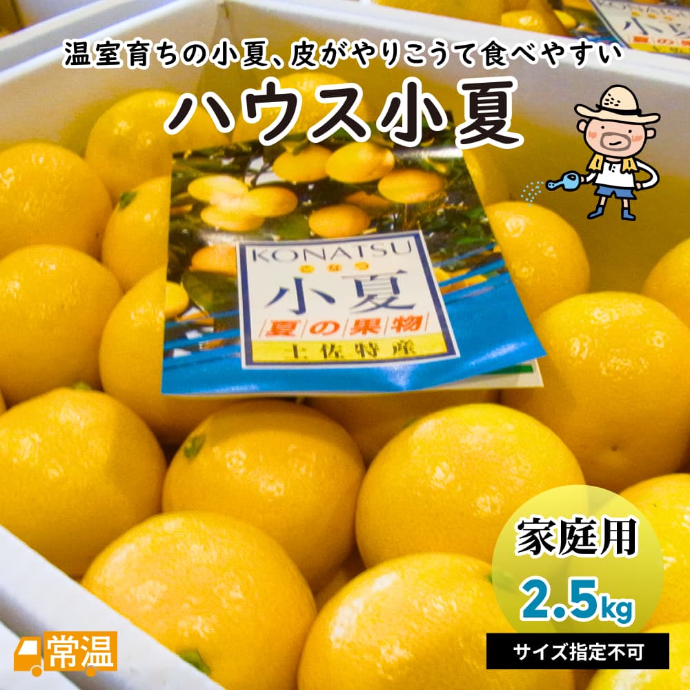 ギフト用　家庭用 約2.5kg