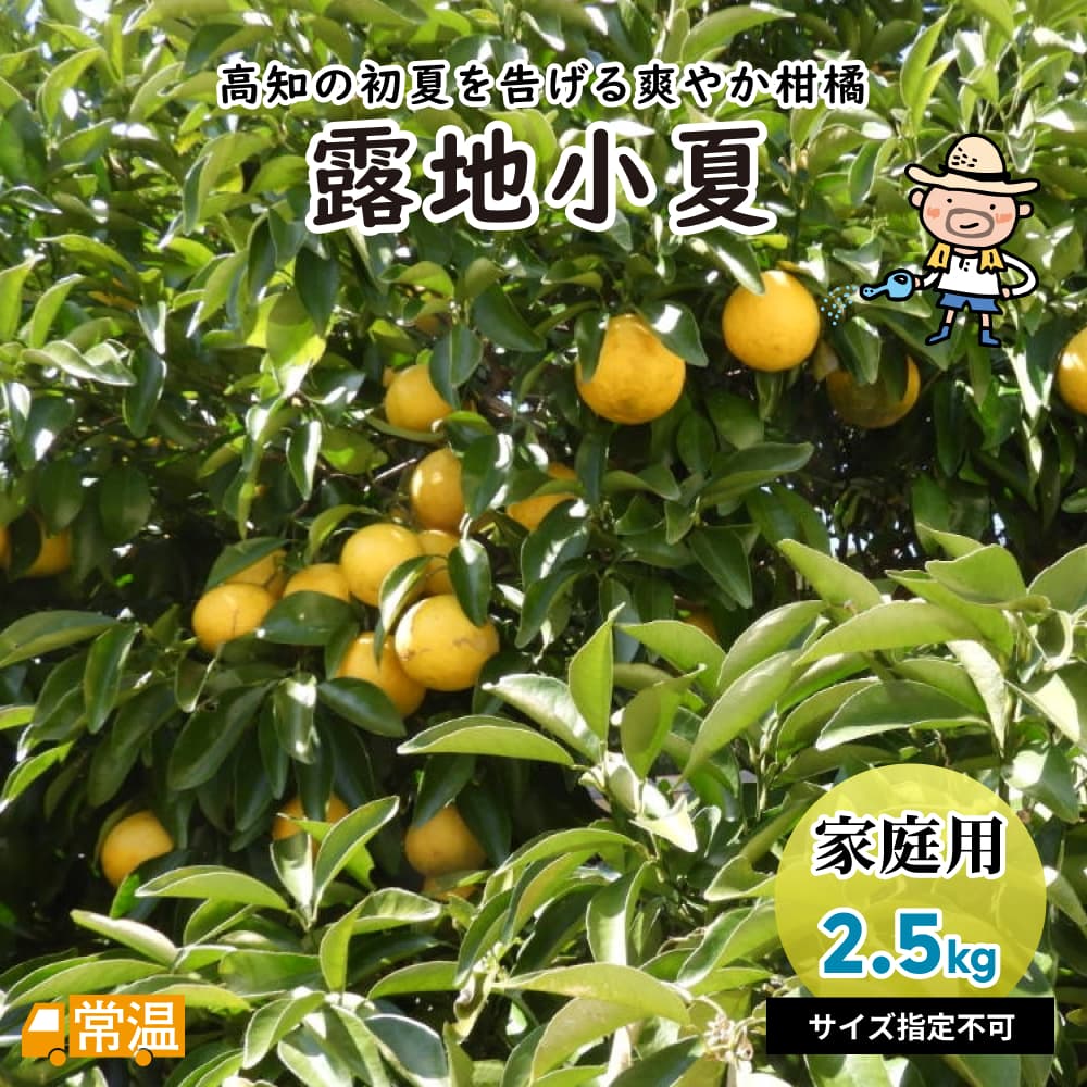 露地小夏　家庭用　2.5kg