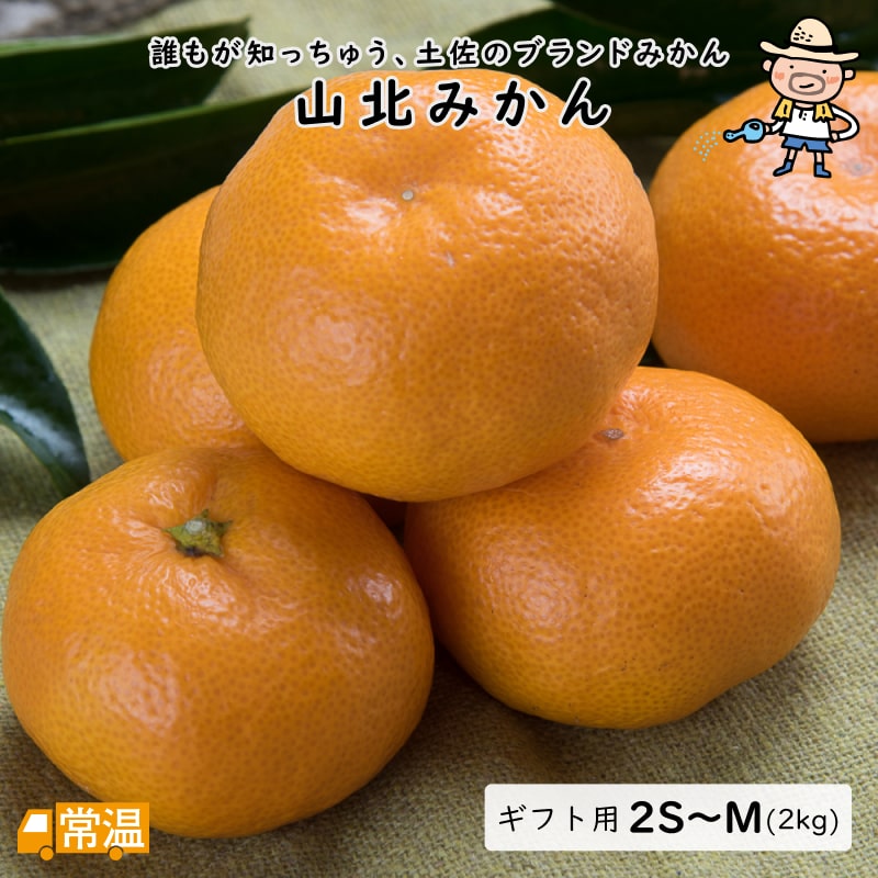 山北みかん ギフト用 2S〜M・2kg
