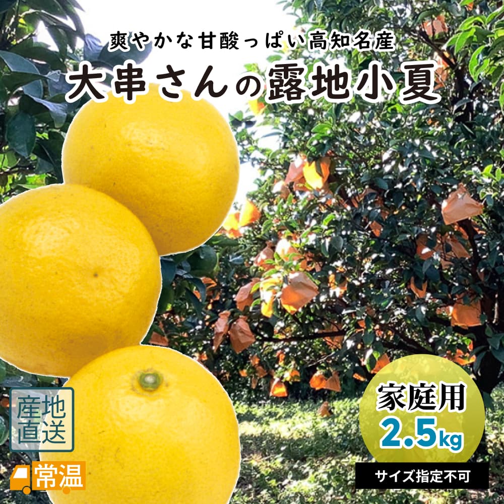 大串さんの露地小夏　家庭用　2.5kg