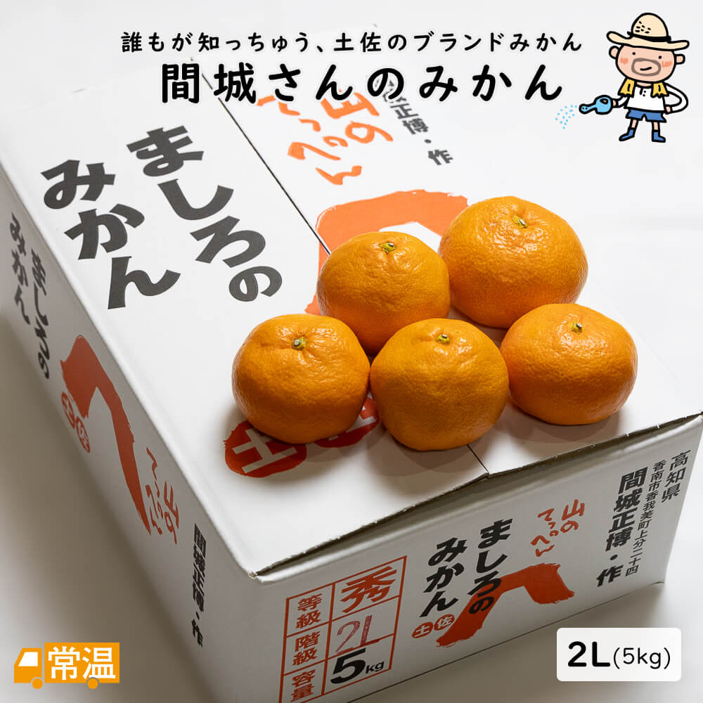 間城さんのみかん 2L・5kg
