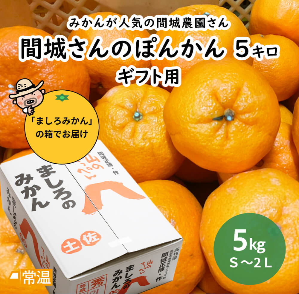 間城さんのぽんかん　ギフト用　5キロ