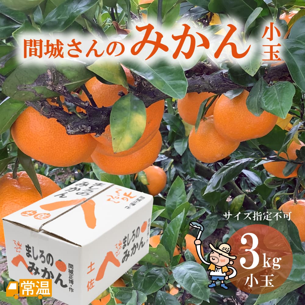 間城さんのみかん 小玉3kg