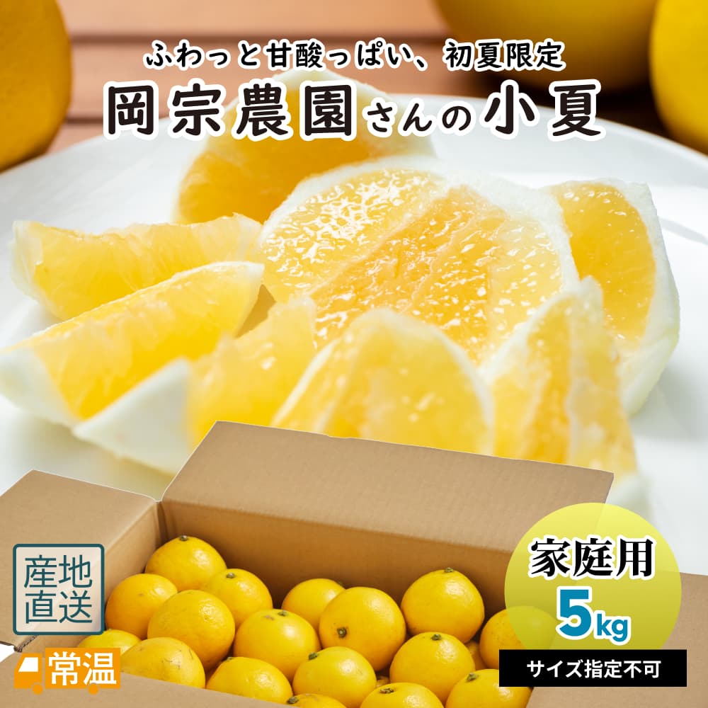 まり　高知産 ハウス小夏 3L 5Kgx2　１７玉前後　家庭用 家庭用（上物・スタンダード）・大箱（5kg）・Mサイズ