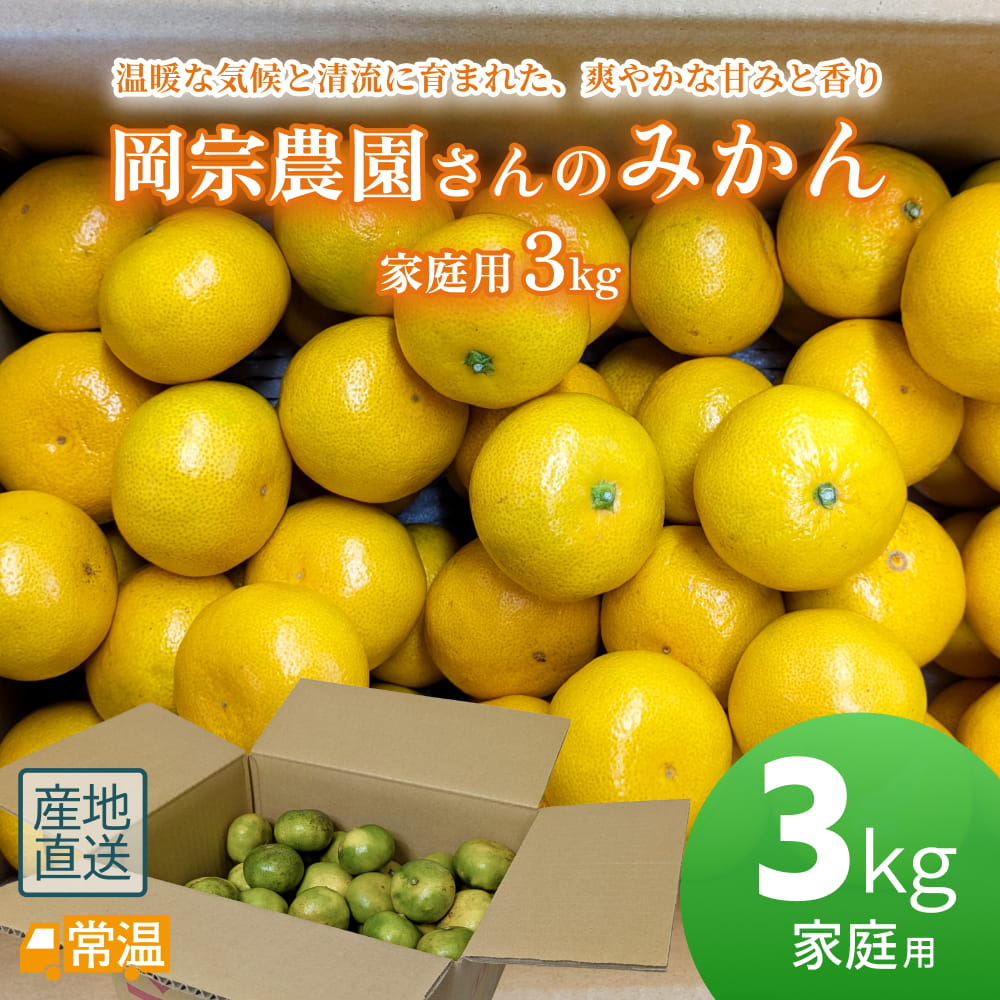 岡宗農園さんのみかん　家庭用　3kg