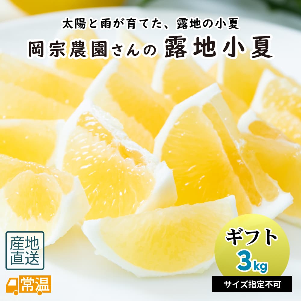 岡宗農園さん露地小夏 ｷﾞﾌﾄ用 3kg