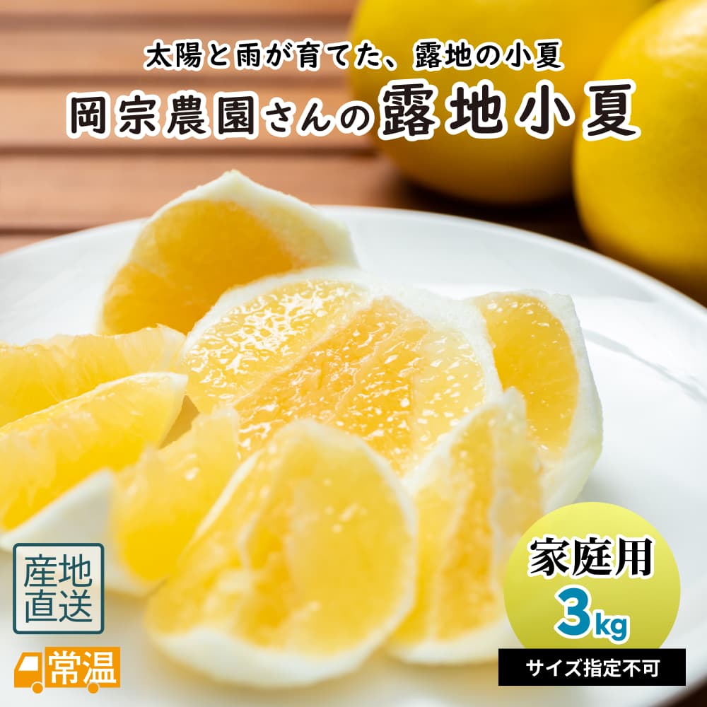 岡宗農園さん露地小夏 家庭用 3kg