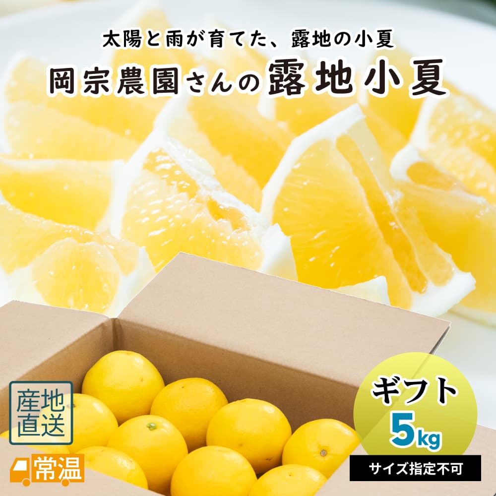 岡宗農園さん露地小夏 ｷﾞﾌﾄ用 3kg