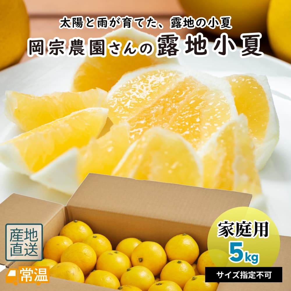 岡宗農園さん露地小夏 家庭用 5kg