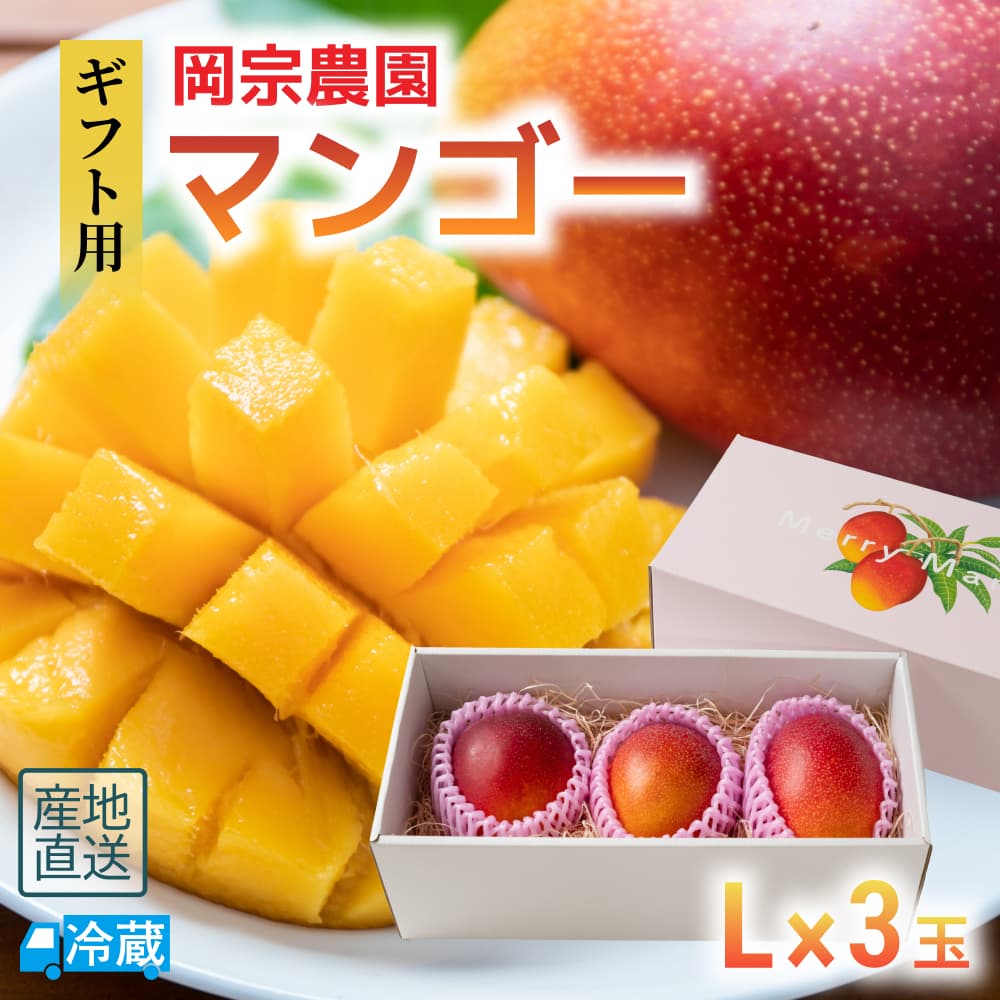 岡宗農園ギフト用マンゴー Lサイズ3玉