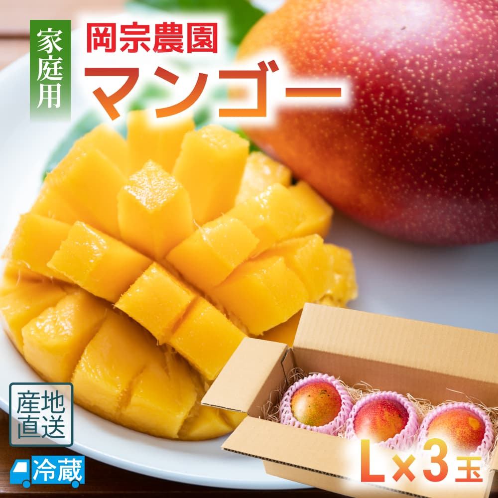 岡宗農園 家庭用マンゴー Lサイズ3玉