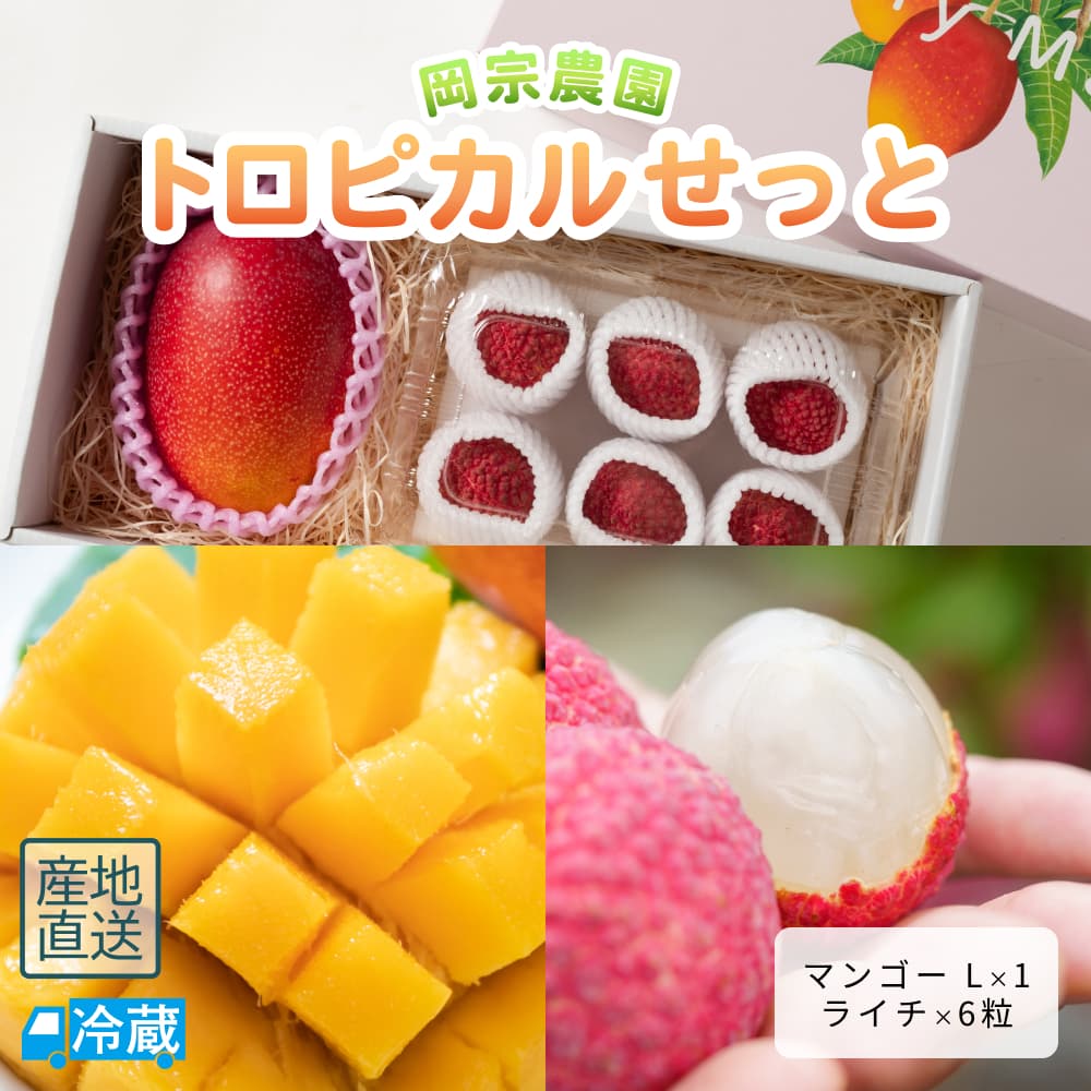 岡宗農園　トロピカルせっと（マンゴーＬとライチ6粒）