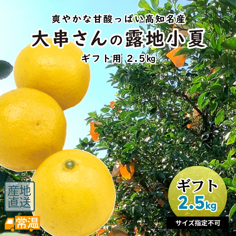 大串さんの小夏　ギフト用2.5?s