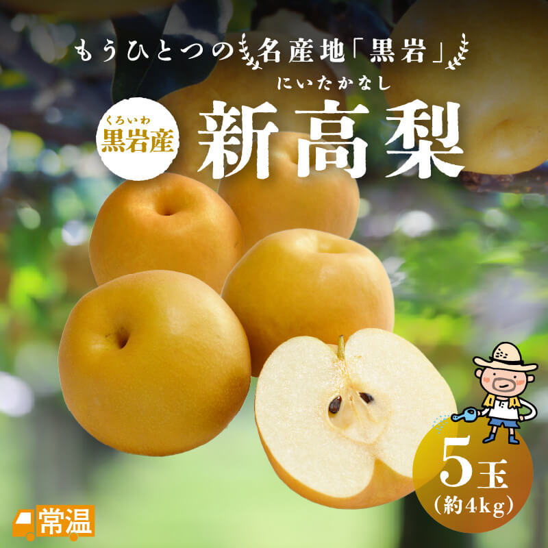 黒岩産新高梨5玉入(約4kg) | 高知県土佐町【すえひろ屋】