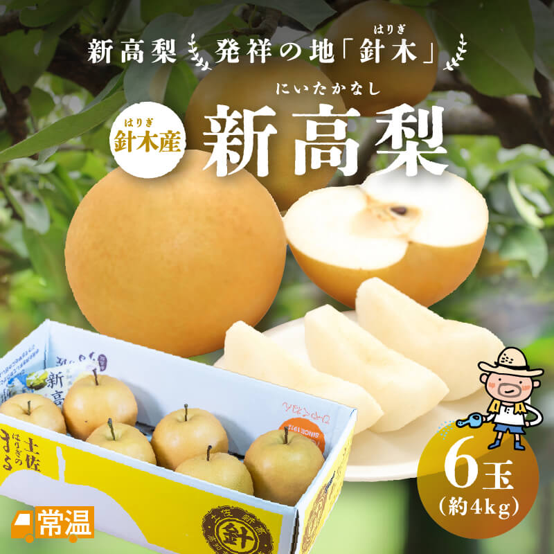 針木産　新高梨　6玉入(約4kg)