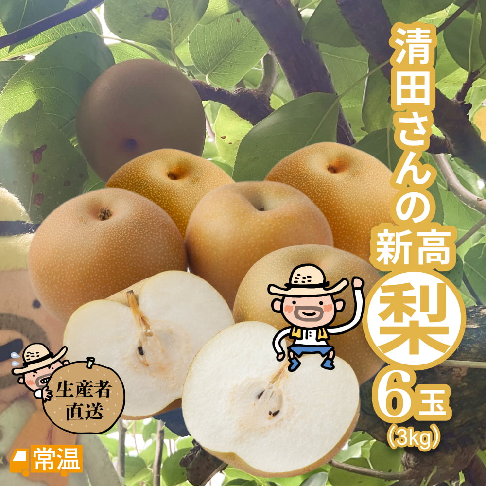 清田さんの新高梨（約3kg・6玉入）
