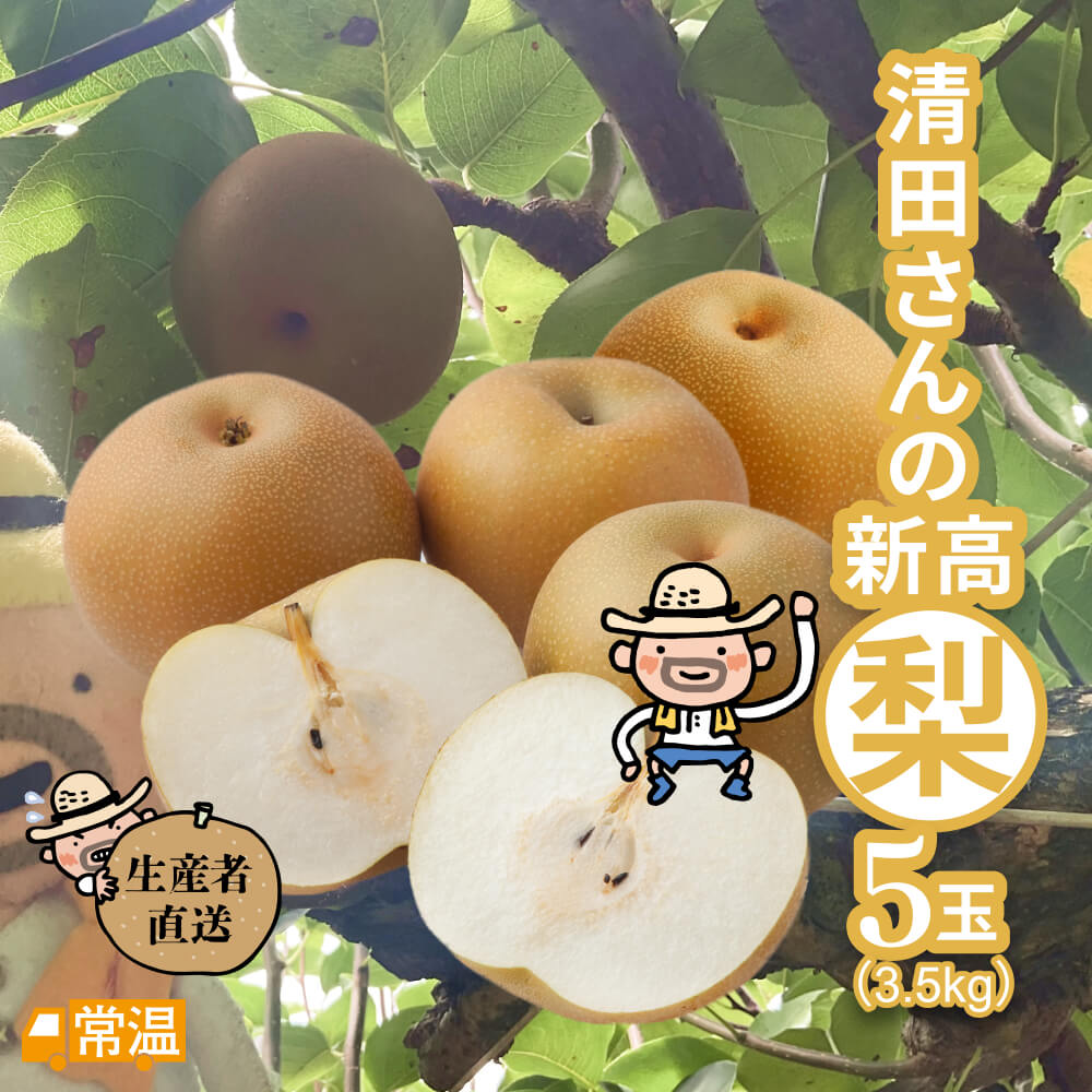 清田さんの新高梨（約3.5kg・5玉入）