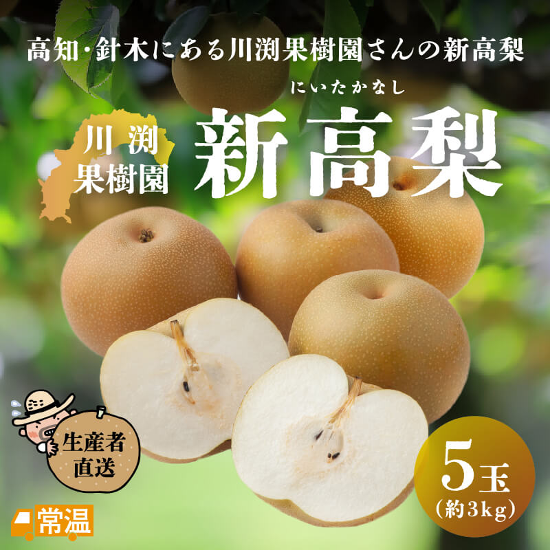 川渕果樹園　新高梨　5玉入（約3kg）