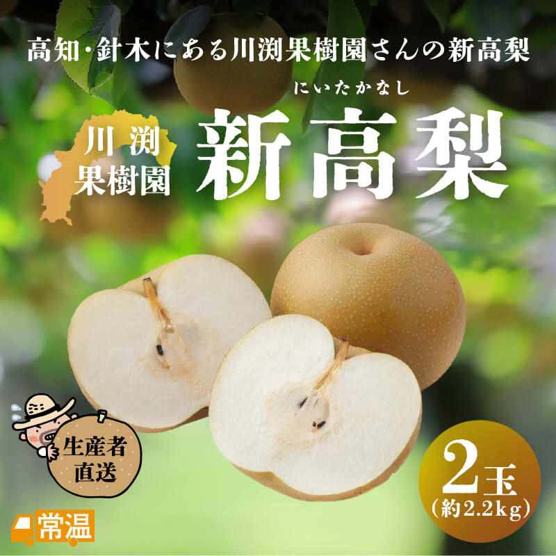 川渕果樹園　新高梨(約2.2kg・2玉入）