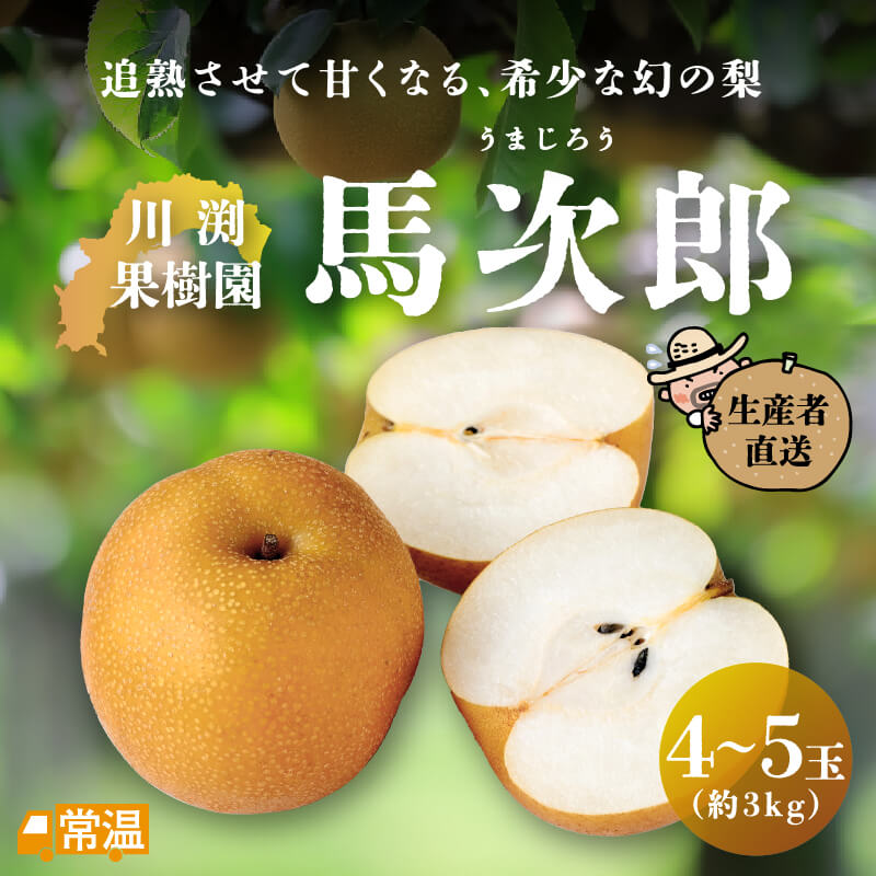 川渕果樹園　馬次郎　4～5玉（約3ｋｇ）