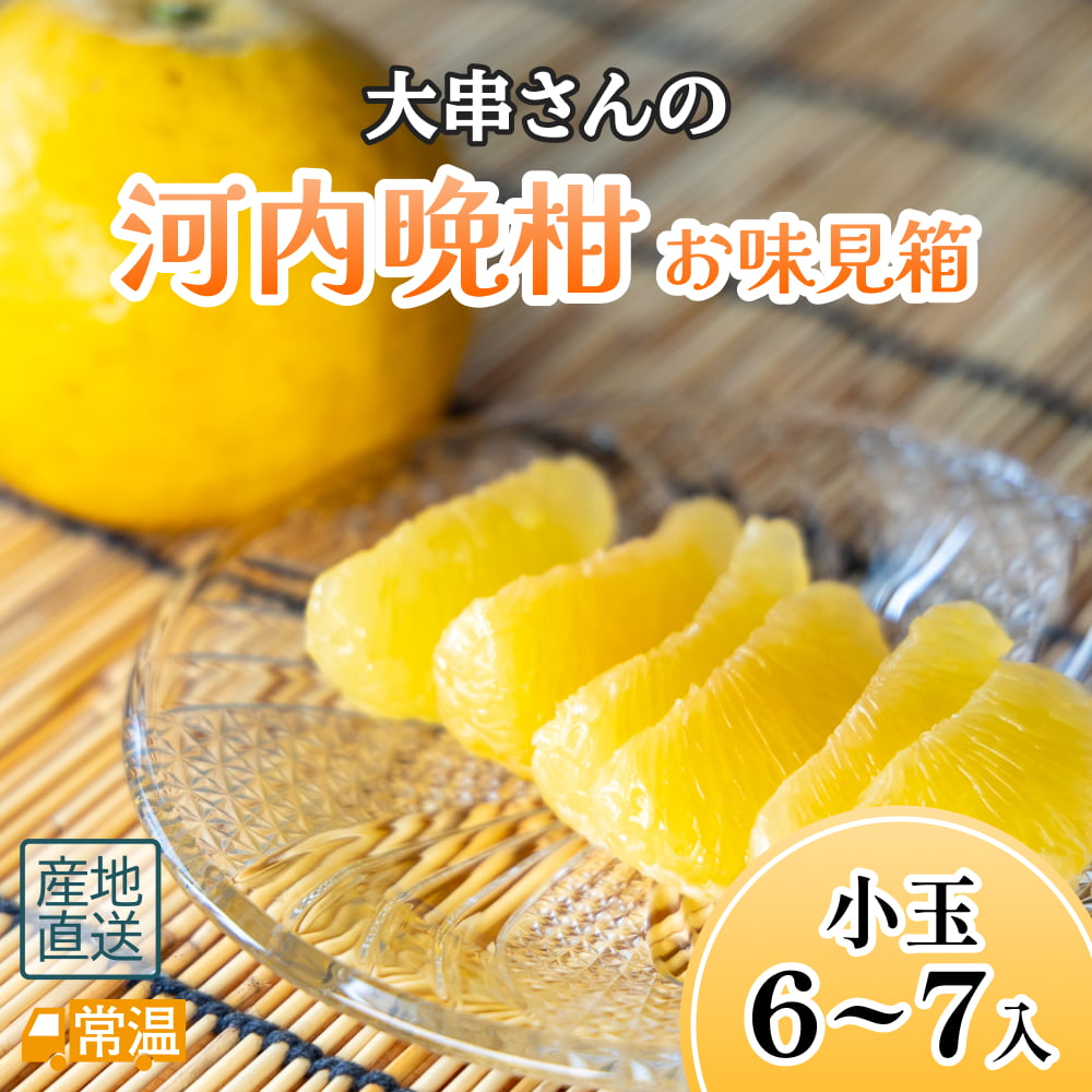 大串さんの河内晩柑　お味見箱