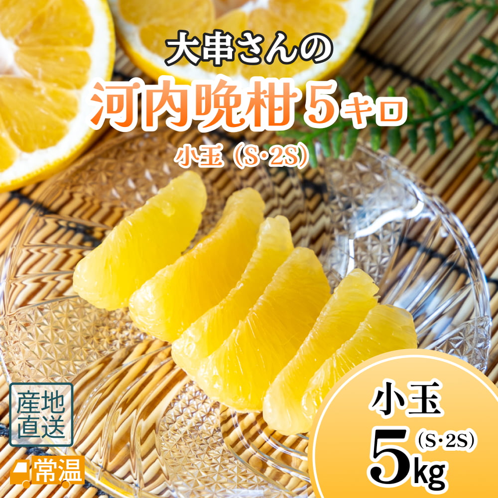 大串さんの河内晩柑　小玉（S･2S）5キロ