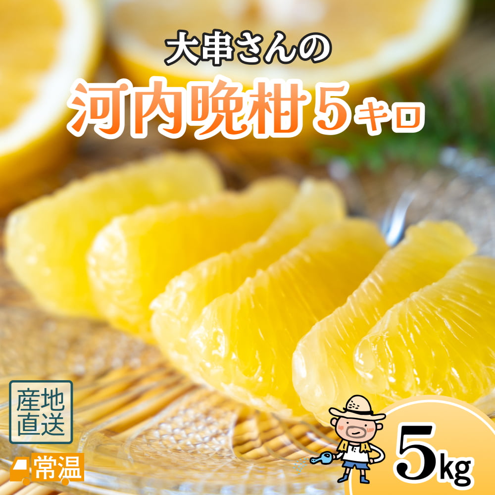 大串さんの河内晩柑　5キロ