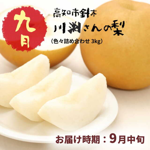 果物の定期便【果物】 | 高知県土佐町【すえひろ屋】