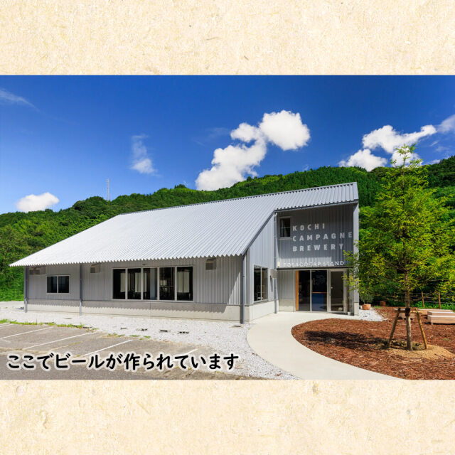 TOSACO2本＆アテせっと