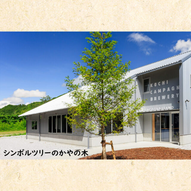 TOSACO2本＆アテせっと
